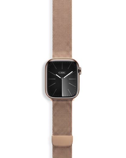 Milanese Mesh