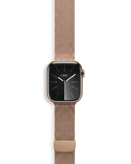 Milanese Mesh