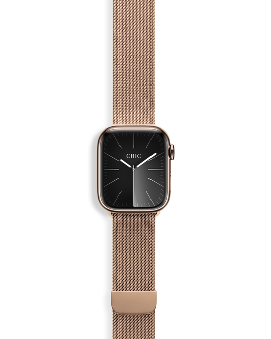 Milanese Mesh